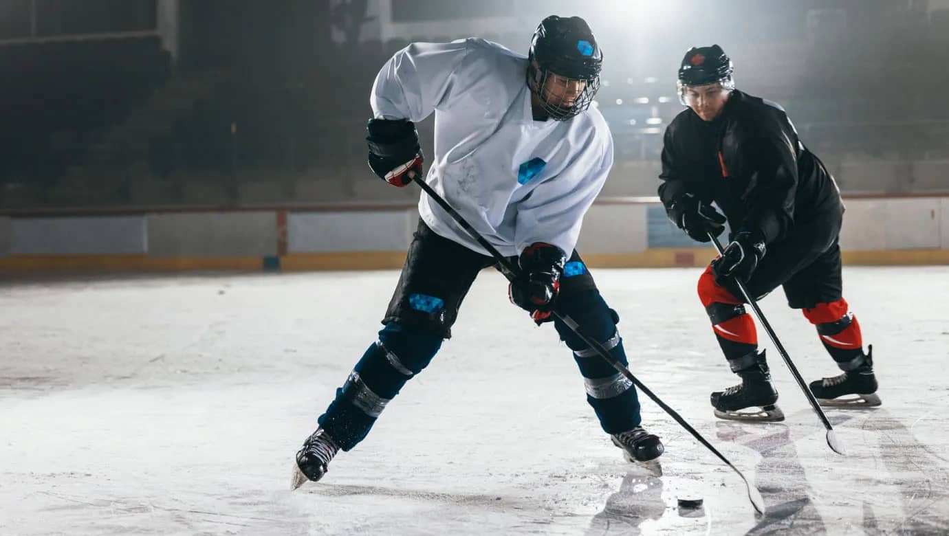 Ледовый дворец