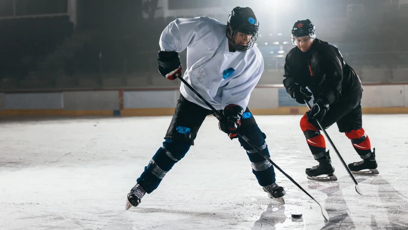 Ледовый дворец