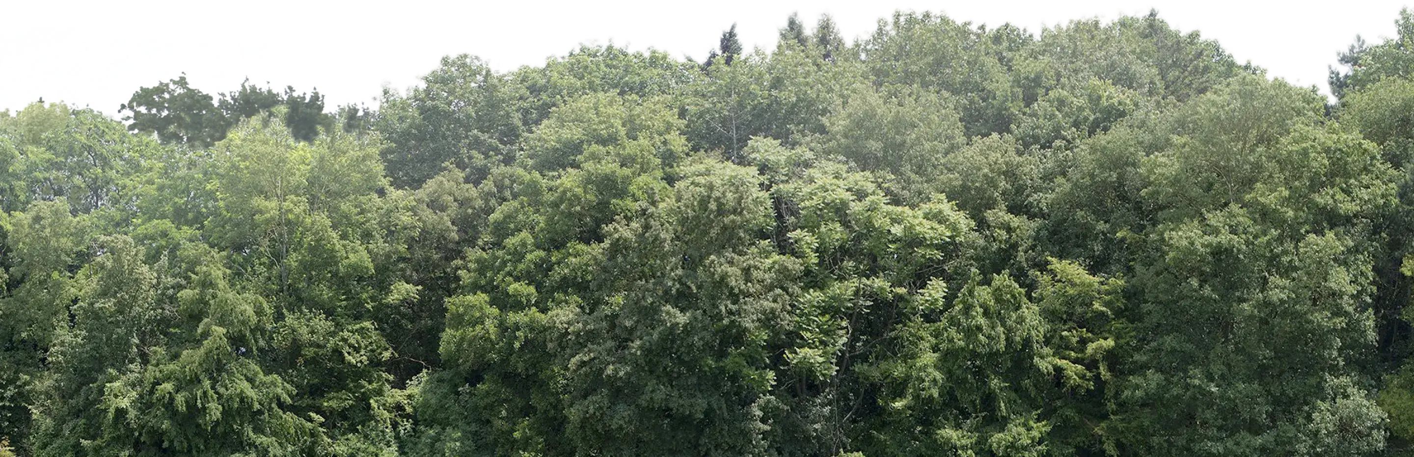 Вид из окна - 2